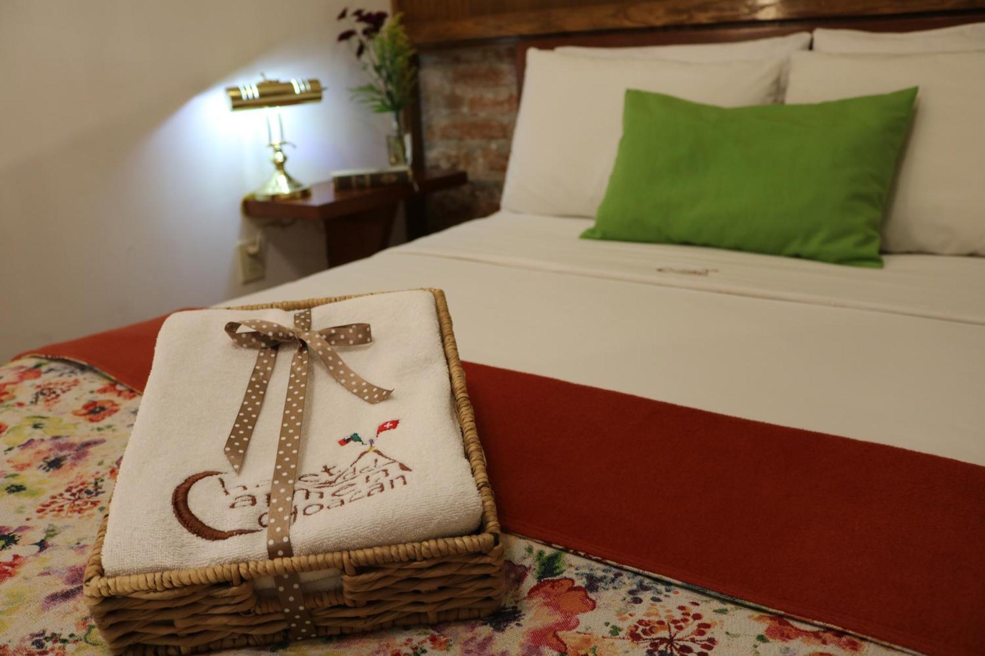 Chalet Del Carmen, Coyoacan Мехико Экстерьер фото