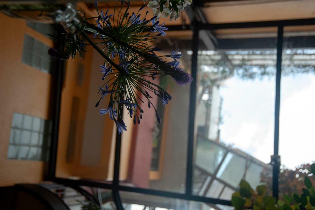 Chalet Del Carmen, Coyoacan Мехико Экстерьер фото
